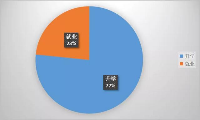 南方科技大学2021届数学系本科毕业生升学就业情况回顾