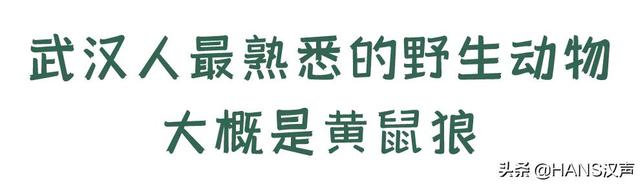 不要靠近！不要靠近！不要靠近！当野生动物回归武汉