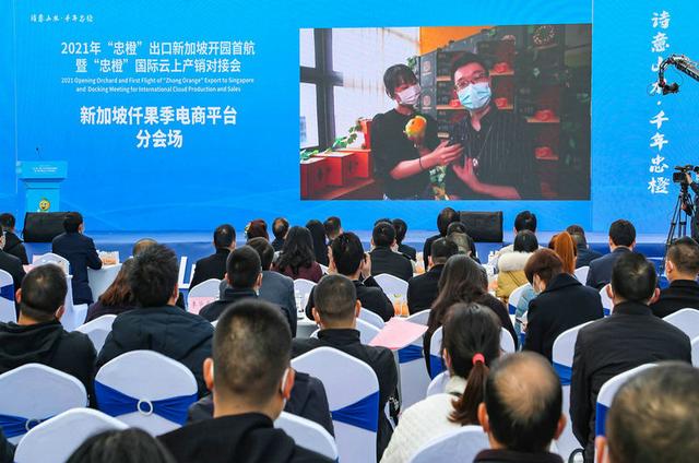 重庆忠县打响“忠橙”国际品牌