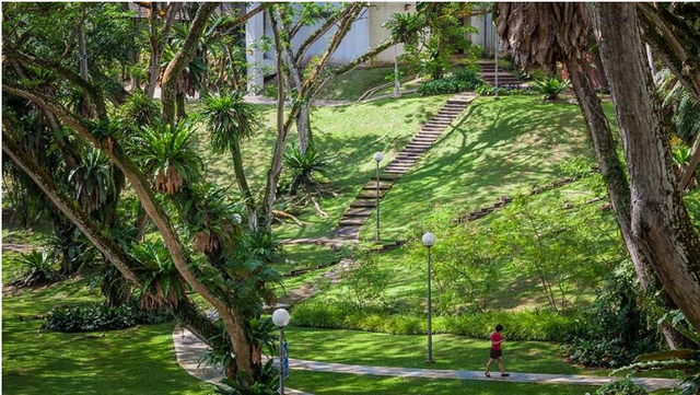 新加坡国立大学——项目管理理学硕士专业介绍