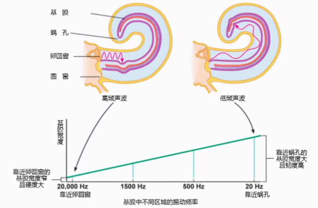 在太空中，杨利伟曾听见神秘的“敲门声”，幸好只是虚惊一场