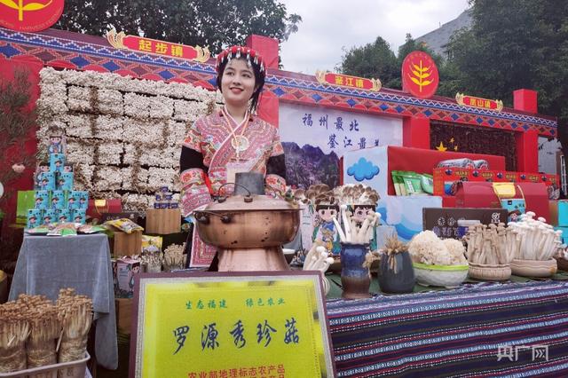 乡村振兴看福建｜起步镇：菌菇撑起畲乡“致富伞”