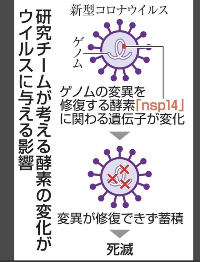 明查｜日本新冠确诊数大幅下降，数据作假还是另有原因？