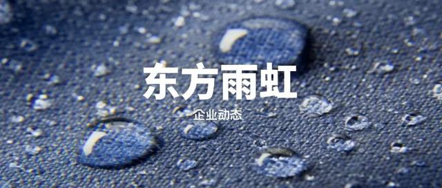 东方雨虹的未来成长在哪里？