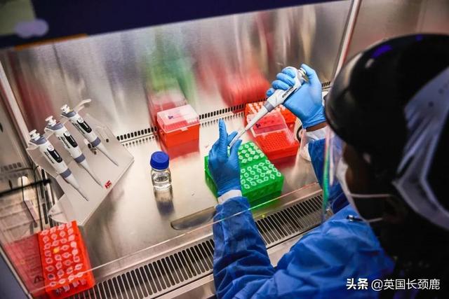 发现“迄今为止最糟糕变种”，英国日增5万例！英国批准第4种疫苗