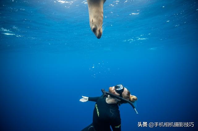 聊一张刷爆网络的照片：它背后的来源应该被更多人知道