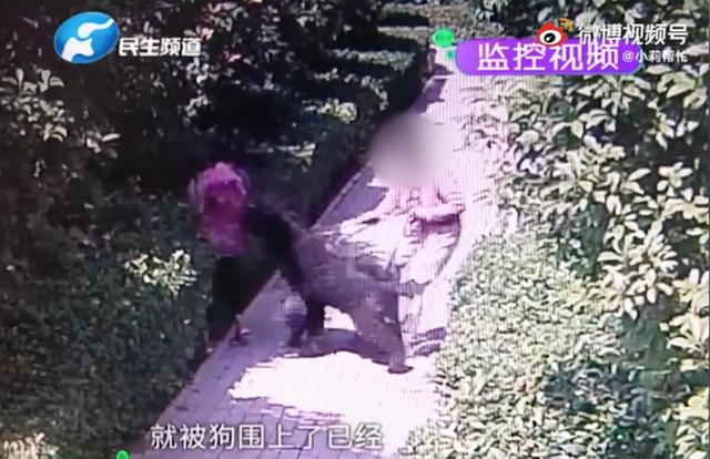 “狗咬人”成了大新闻，新媒：这件事反映出媒体监督的无奈和无力