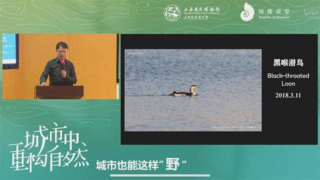 在上海重构自然：野生动物中的意外来客、适应者与回归者