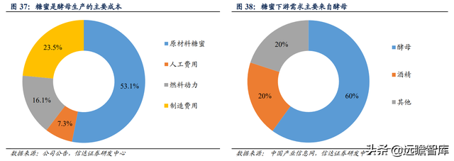 安琪酵母：国内第一，全球第三，品牌和渠道是其2大核心竞争优势