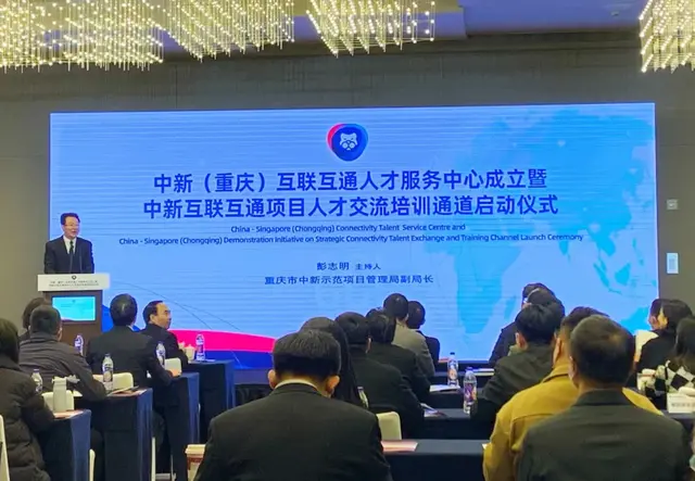 人才培养！中新携手搭通道