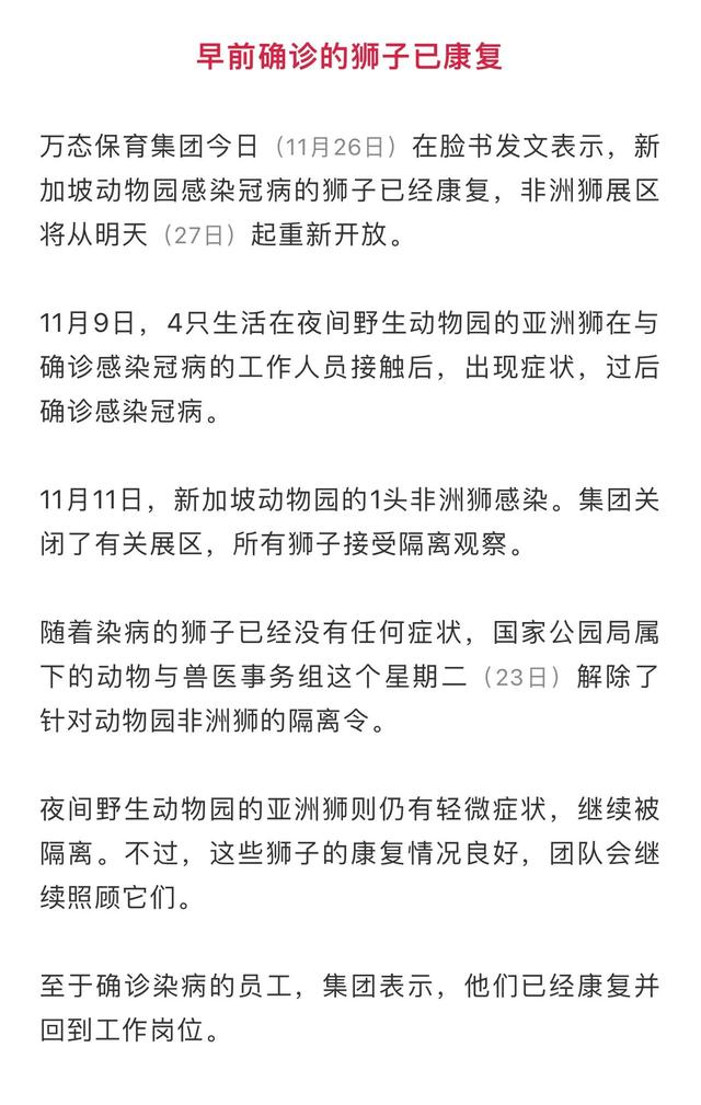 新加坡4只生活在夜间野生动物园、早前确诊的亚洲狮子已康复