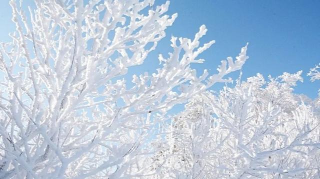 全国最好的滑雪场在哪儿？