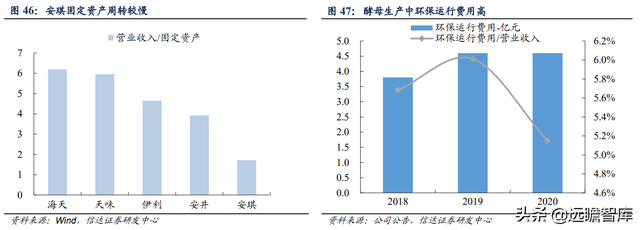 安琪酵母：国内第一，全球第三，品牌和渠道是其2大核心竞争优势