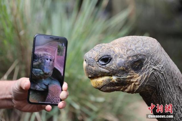 因外来物种入侵 澳大利亚本土生物恐面临灭绝威胁