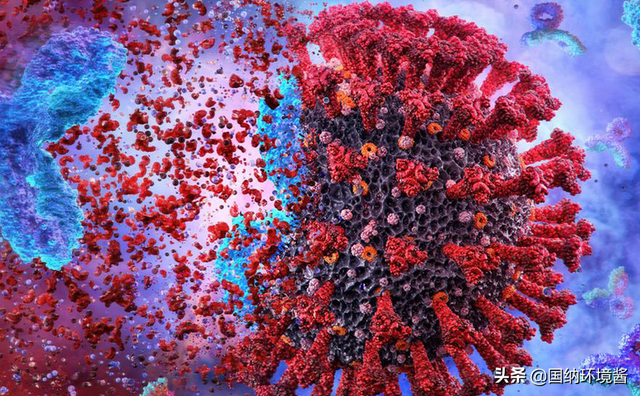 医护人员暴露在新冠病毒环境却无事？原来是免疫系统有“记忆”