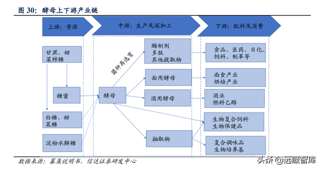 安琪酵母：国内第一，全球第三，品牌和渠道是其2大核心竞争优势