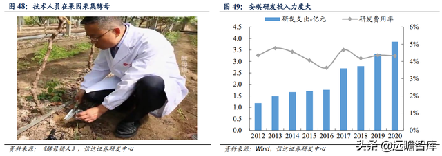 安琪酵母：国内第一，全球第三，品牌和渠道是其2大核心竞争优势