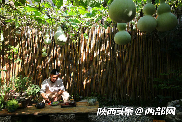 周至90后小伙返乡做电商 绿化庭院下厨做饭 把生活过成诗