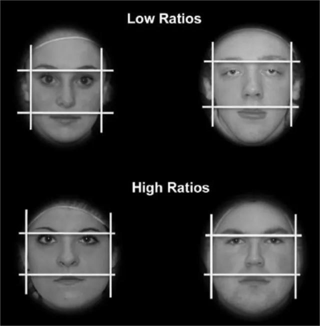 研究发现：CEO脸部越宽，资产利润越高？