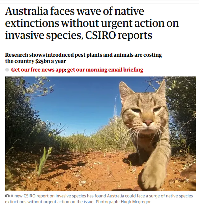 因外来物种入侵 澳大利亚本土生物恐面临灭绝威胁