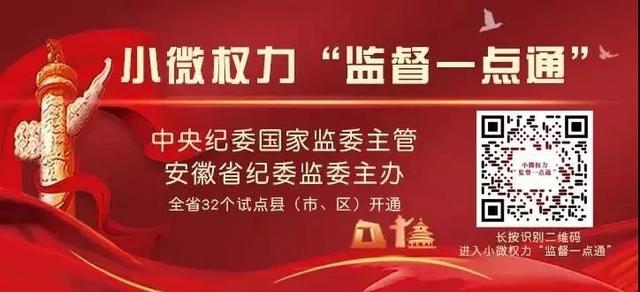 最高一次性奖补500万元！淮南市人民政府发布重要意见