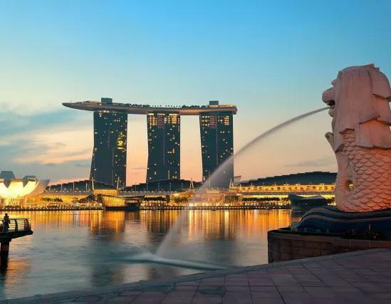 一个新加坡签证，导致我的右手留下伤筋残疾，至今无法正常抓握