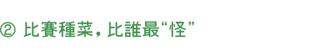 拥有了第一座“漂浮公园”的纽约，还是世界上最会建公园的城市