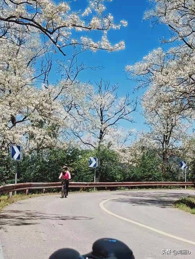 最美的风景在路上——随拍公路上的骑行侠