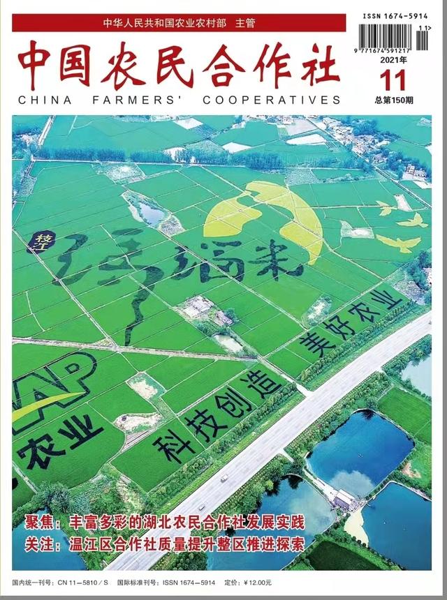 铸造出口品牌 砥砺奋进追逐“药材王国”梦——记湖北宜昌众赢药材种植专业合作社