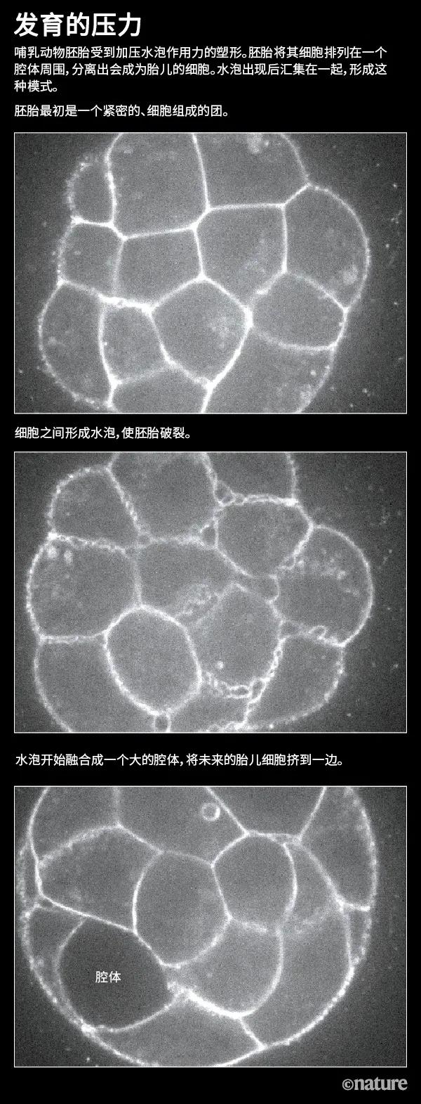 力，如何雕刻生命？