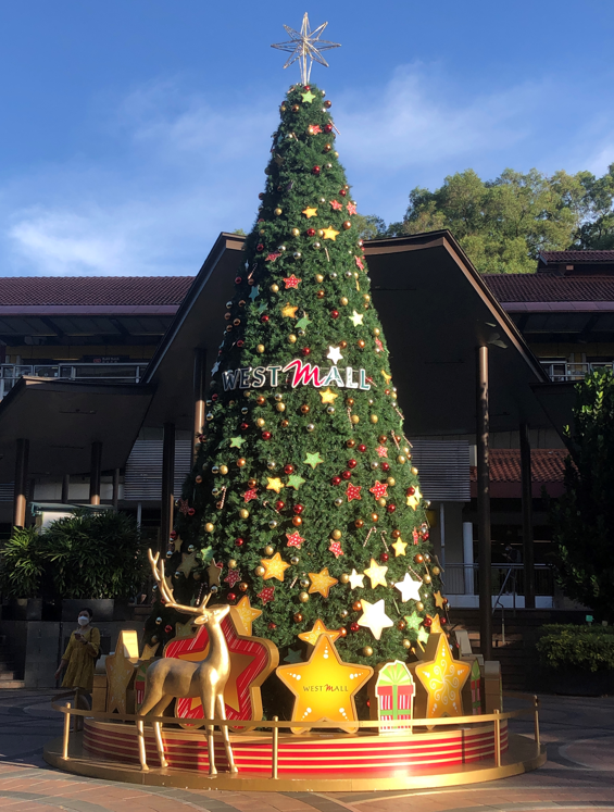 寻找最美圣诞树比赛开始！快来赢取高达$600的奖品