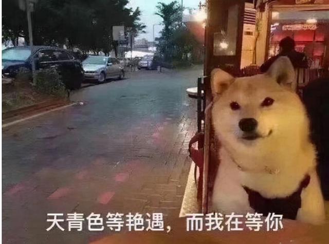 新加坡一小波新政热热身，单身汉可自行租赁组屋啦
