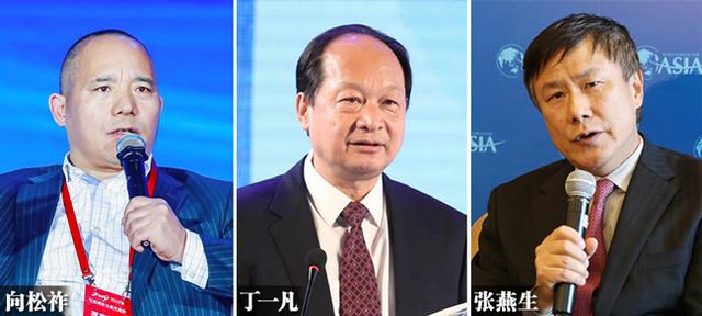 生育率低，和房价、教育等经济问题有多大关系？