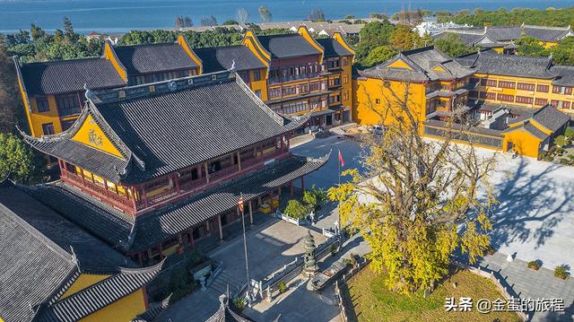 上海最高古银杏，就在青浦淀山湖畔，航标灯塔般的报国寺千年银杏