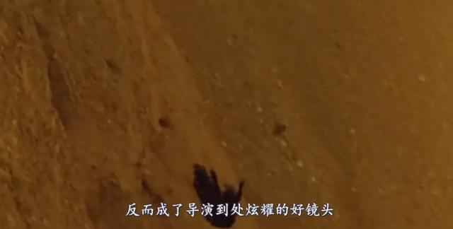 《当家主母》虐猫上热搜：为拍剧竟毒死真猫，剧组疯狂洗白惹争议