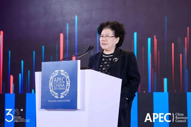 APEC工商领导人中国论坛：六大议题共探可持续增长的未来
