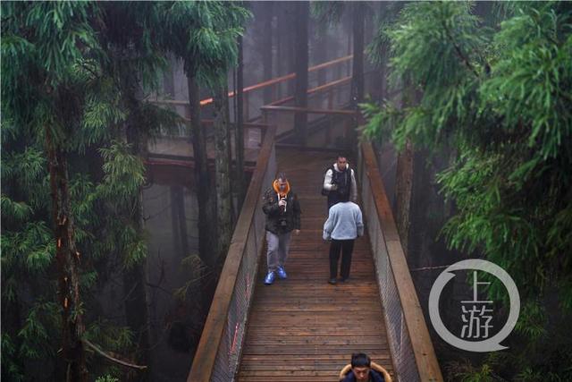 海外大V拍重庆：从41米高空俯瞰仙女山美景