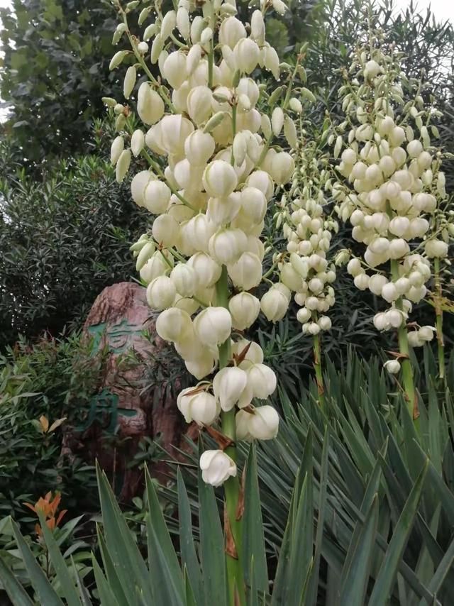 浅谈生命周期