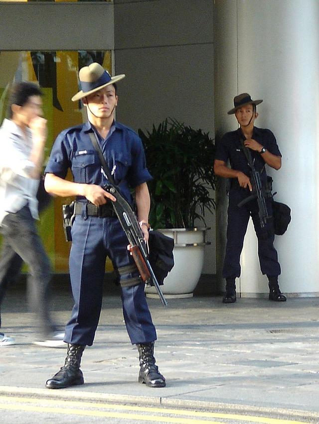 新加坡警衔标识