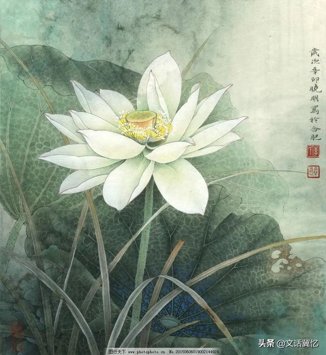 知名作家 韩联社老师｜|莲心净土开奇葩——读丰子恺《护生画集》