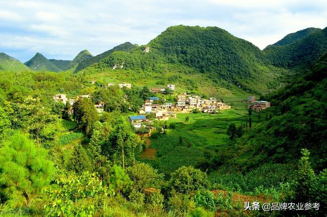 农参专稿：县域农业品牌建设的“1+3”路径