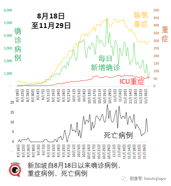 政府紧急出台应对政策！南非出发的新航航班2人感染超强毒株，同机7人入境新加坡