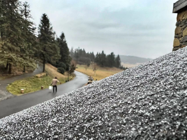 海外大V拍重庆 大雪将至的仙女山格外浪漫