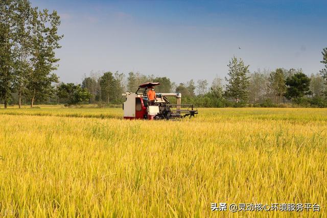 欧美“禁止”中国种水稻 从气候变暖看农业发展