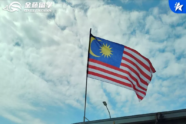 关于今天的奇妙假期，你知道多少呢？
