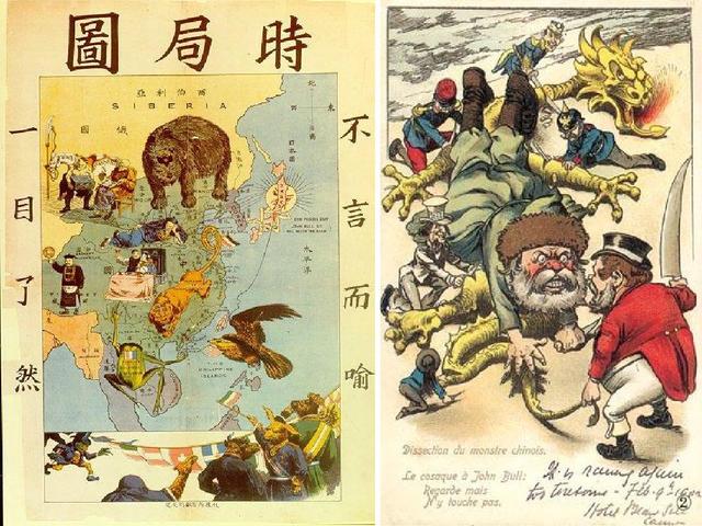 加拿大鹅为何能如此“硬气”？