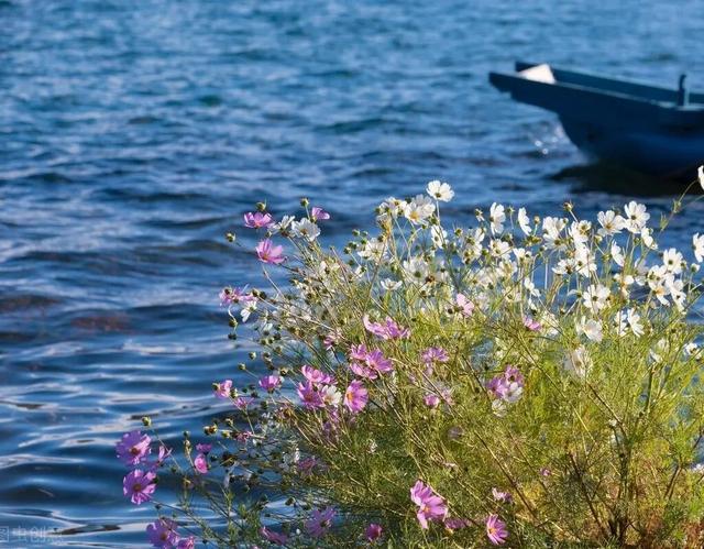 云南这颗高原明珠，也曾在中国最“至暗”的时刻光彩夺目