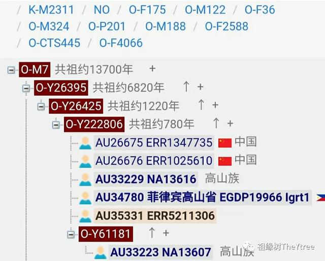 南岛语族群父系基因（下篇）