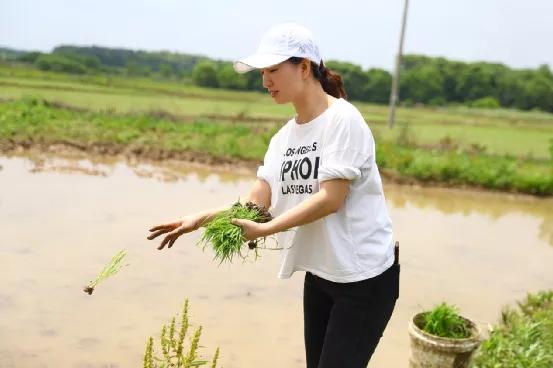 中国社科院学者用一年时间走了几十个乡县，发现9个意外的变化！