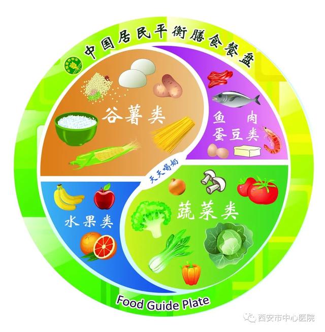 从各国/各地区膳食图形建议解决灵魂拷问“今天吃什么？”